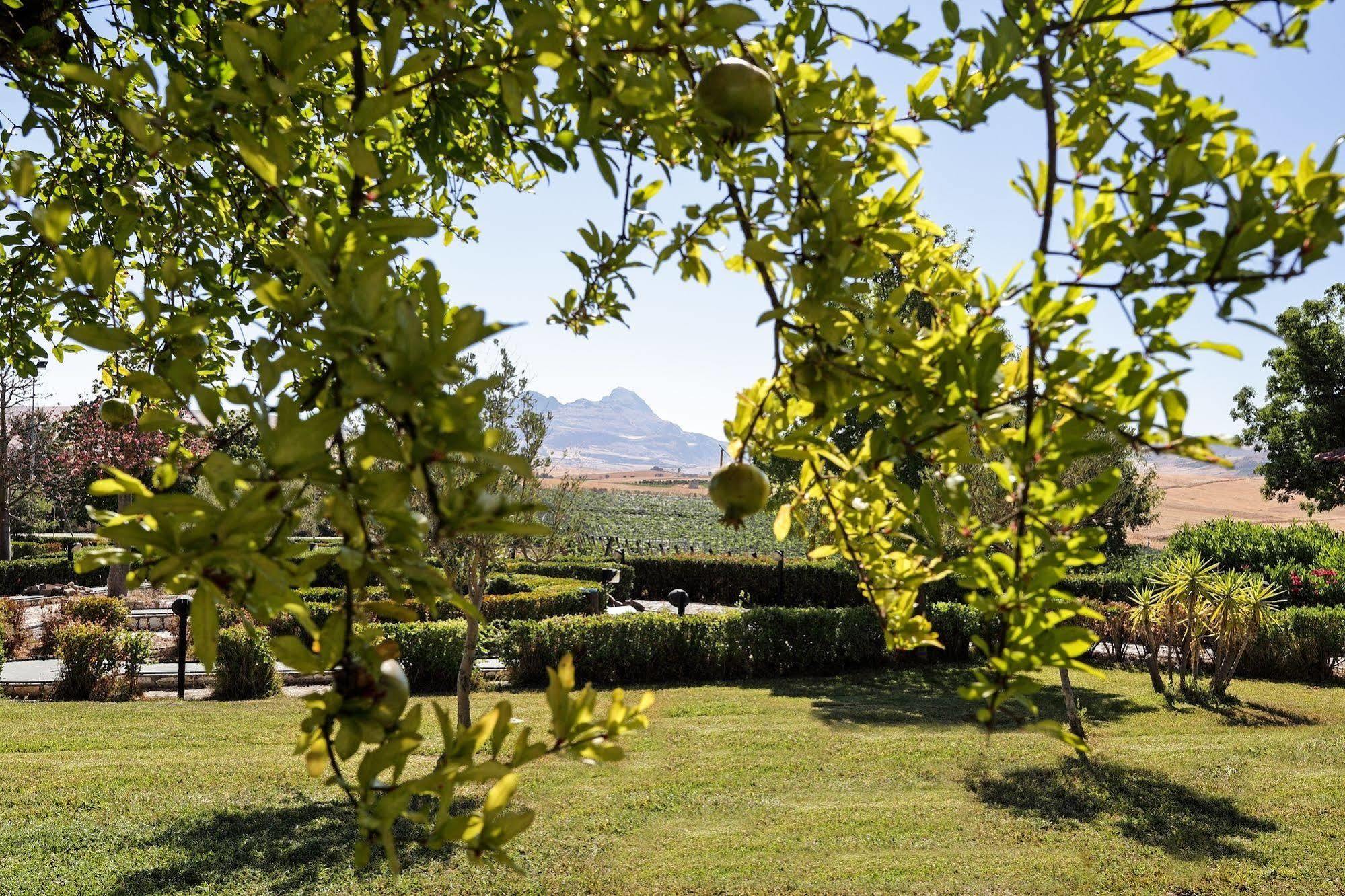 Agriturismo Tenute Pollara Roccamena Eksteriør billede
